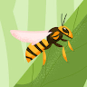 Meet your Posher, Francisco